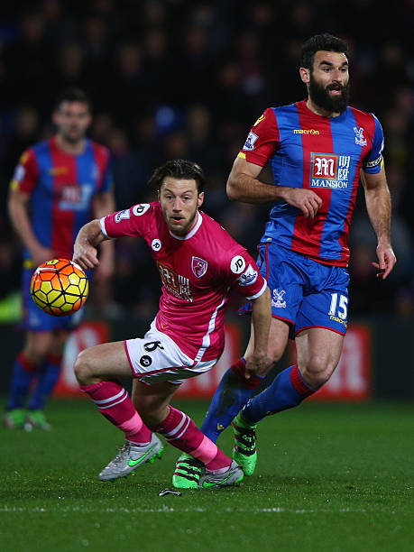 新的高峰 新的高峰